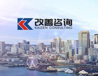 改善咨询
